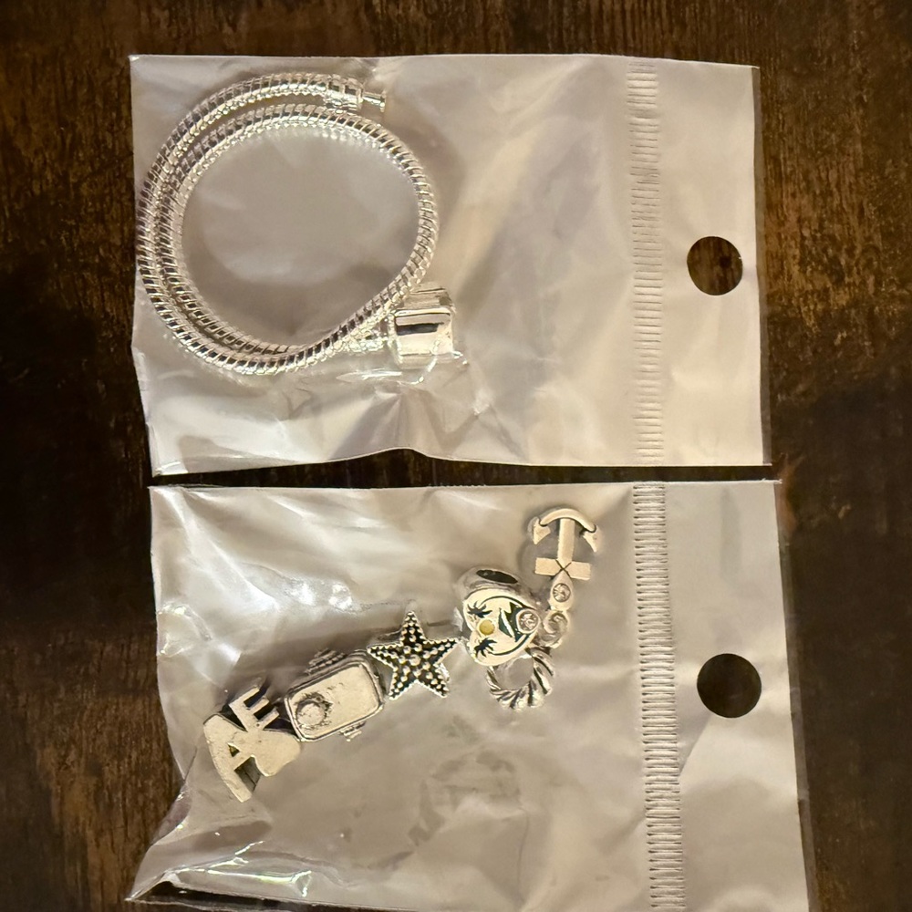 Silver Charm Bracelet Set - Picture 2 of 7